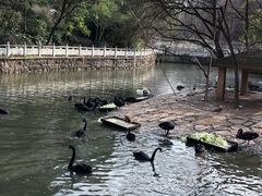 -黔灵山公园