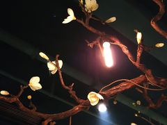 -梧桐树下(云锦世家店)