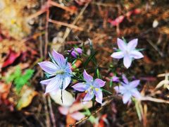 -云峰山自然风景区