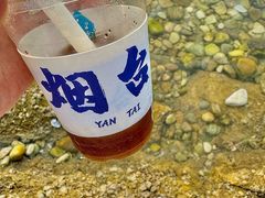 -海岛日记(养马岛店)
