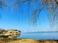 -西山漾湿地公园