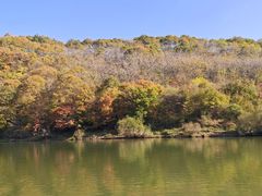 -黄椅山火山森林公园