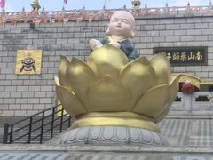 -龙口南山旅游景区