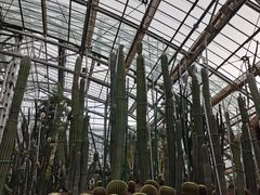 -南山植物园