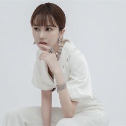-碧莲盛·不剃发植发