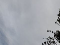 -绍兴镜湖国家城市湿地公园
