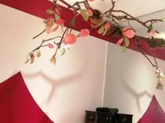 -九鼎轩脆毛肚火锅(三钢里店)