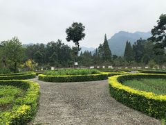-青城山六善酒店·紫氣園中餐厅