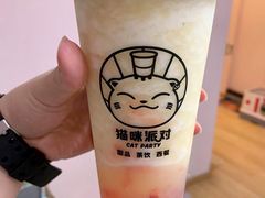-猫咪派对(江南西店)