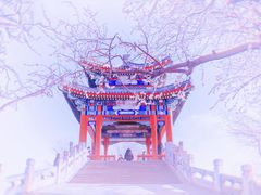-颐和园