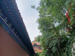 -戏马台景区