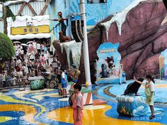 -海合安成都极地海洋公园