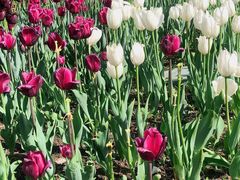 -长春公园(普阳街道)