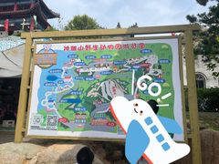 -西霞口神雕山野生动物世界