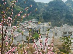 -高荡千年布依古寨旅游景区