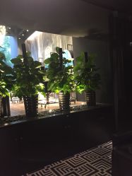 -意念造型