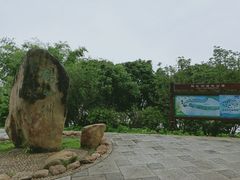 -鹤之洲湿地公园