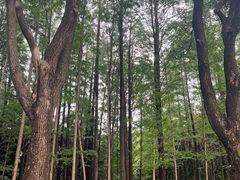 -水上明月·湖景餐厅