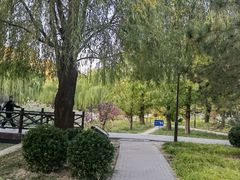 -元大都城垣遗址公园