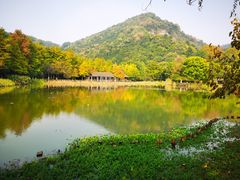 -八卦田遗址公园