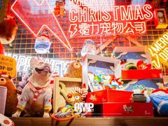 -電力宠物公司(武定路店)