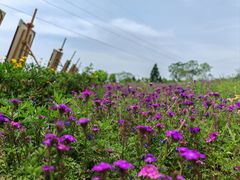 -夏河溪乡野公园