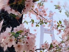 -南浦大桥长途旅游客运站