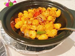 生啫鲜鱿鱼-西苑饭店·蓬莱春餐厅
