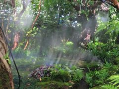 -Chom Cafe and Restaurant