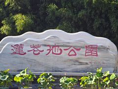 -莲花池公园