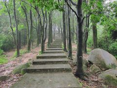 -火炉山森林公园