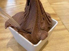 -野人先生现做冰淇淋(北京环宇荟店)