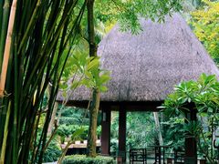 -三亚湾海居铂尔曼度假酒店