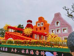 -荷兰花海