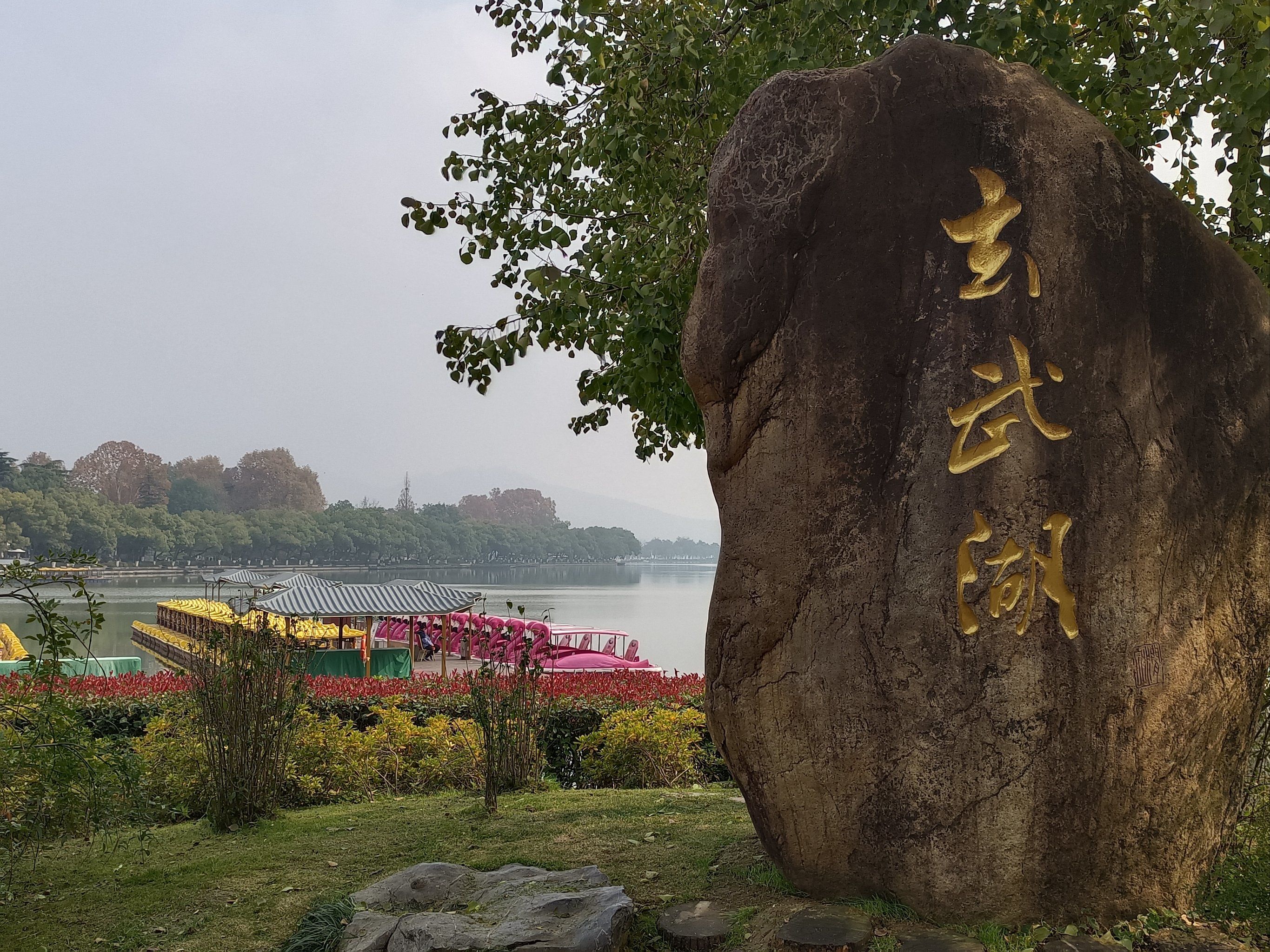 雨后玄武湖就美成了仙境