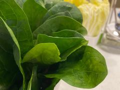 -九府羊鲜羊火锅·烧烤·小海鲜(华汇大厦店)