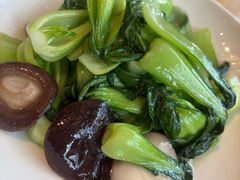 香菇油菜-渝信川菜 · 川味家常菜(财富购物中心店)