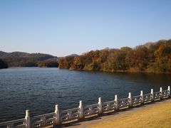 -佛手湖郊野公园