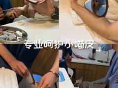-御宝贝·A梦猫科宠物医院(国际猫友好医院)