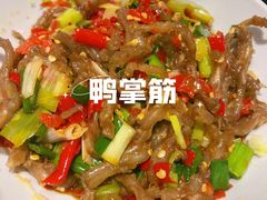鸭掌筋-壹盏灯(惠农店)