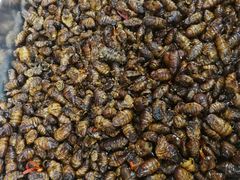 -宋氏御香食品(滨河路店)