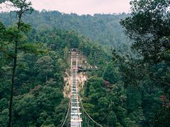 -九龙江国家森林公园