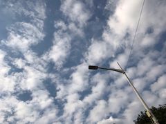 -米纸越南小馆(金鹰世界店)