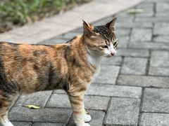 -广州珠江公园
