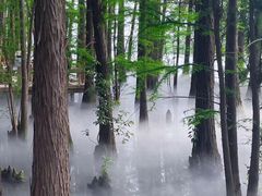 -东湖落雁景区