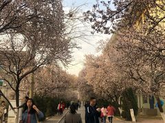 -山东师范大学(千佛山校区)