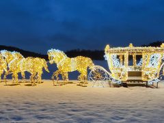 -谢列梅捷沃国际机场