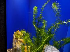 -上海海洋水族馆