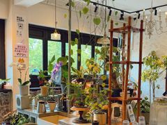 -青莯_Percher Coffee Shop(皮市街店)