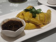 白切鸡-嘉逸传菜(洛川东路店)